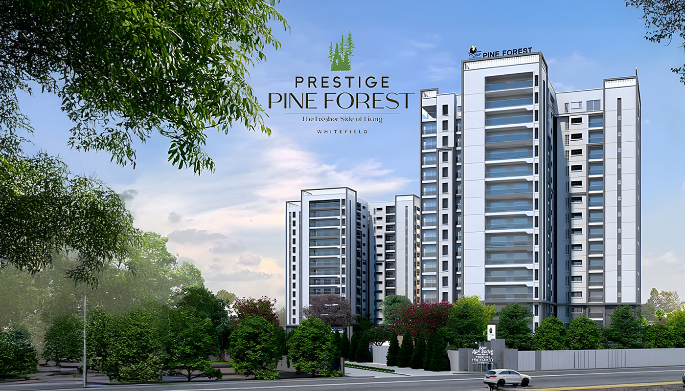 Prestige Pine Forest Banner
